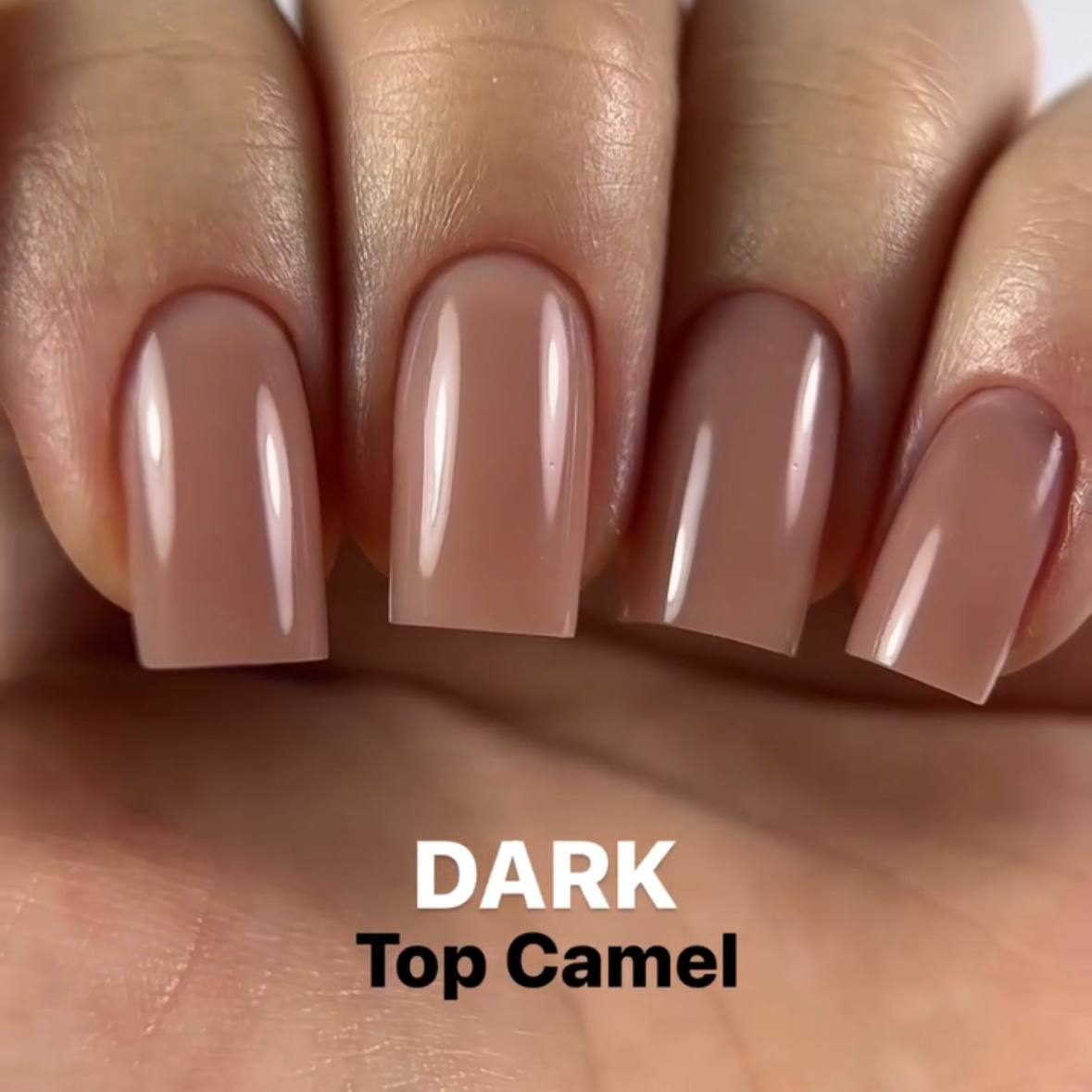 DARK Camel Top, 10ml