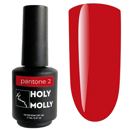 PANTONE#2  11ml- HOLY MOLLY™